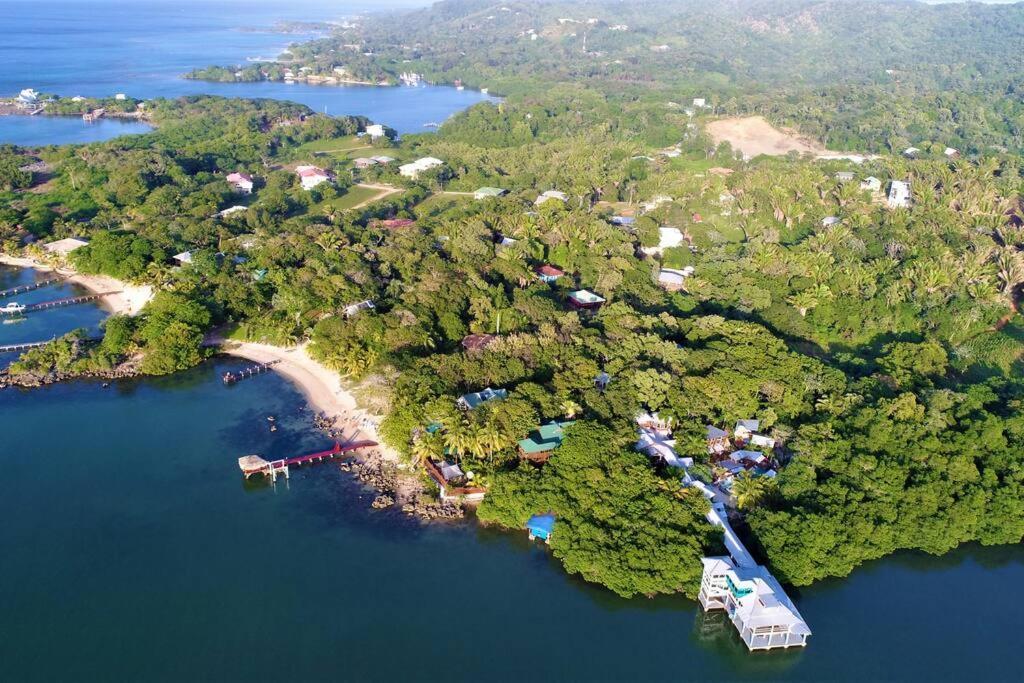 The Dock Resort Over Water Retreat Вест-Енд Екстер'єр фото